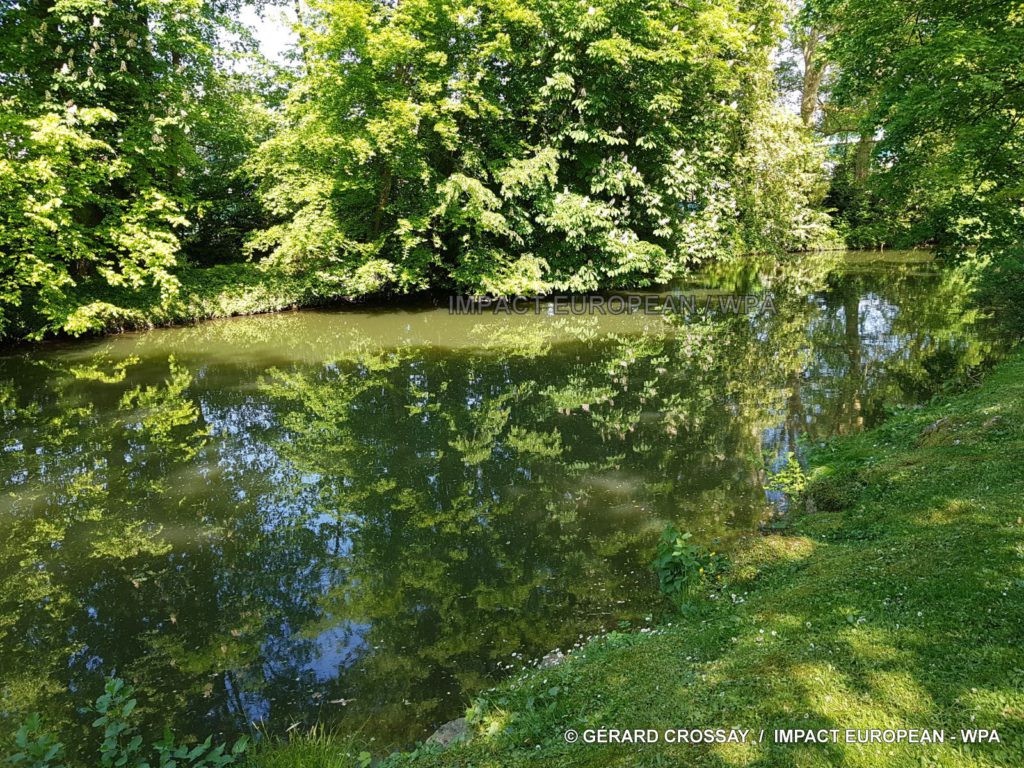 1-IMG-20180525-WA0001