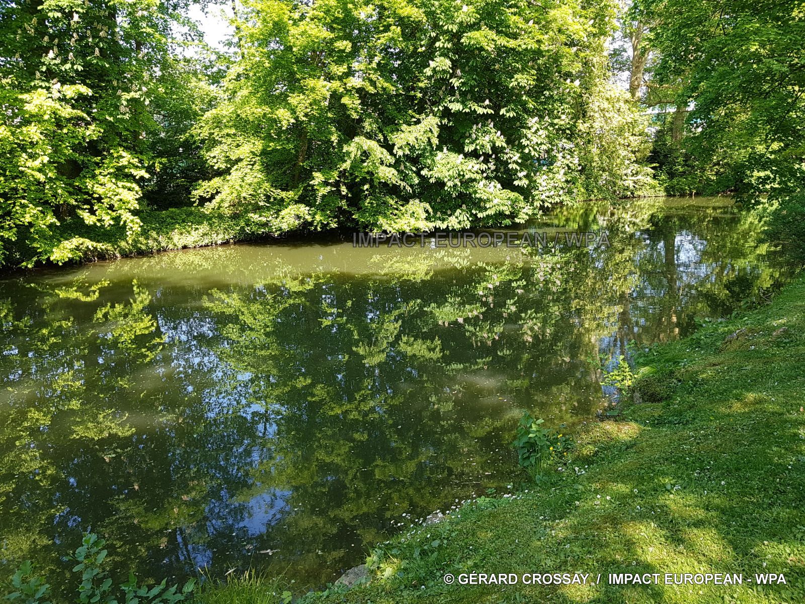 1-IMG-20180525-WA0001