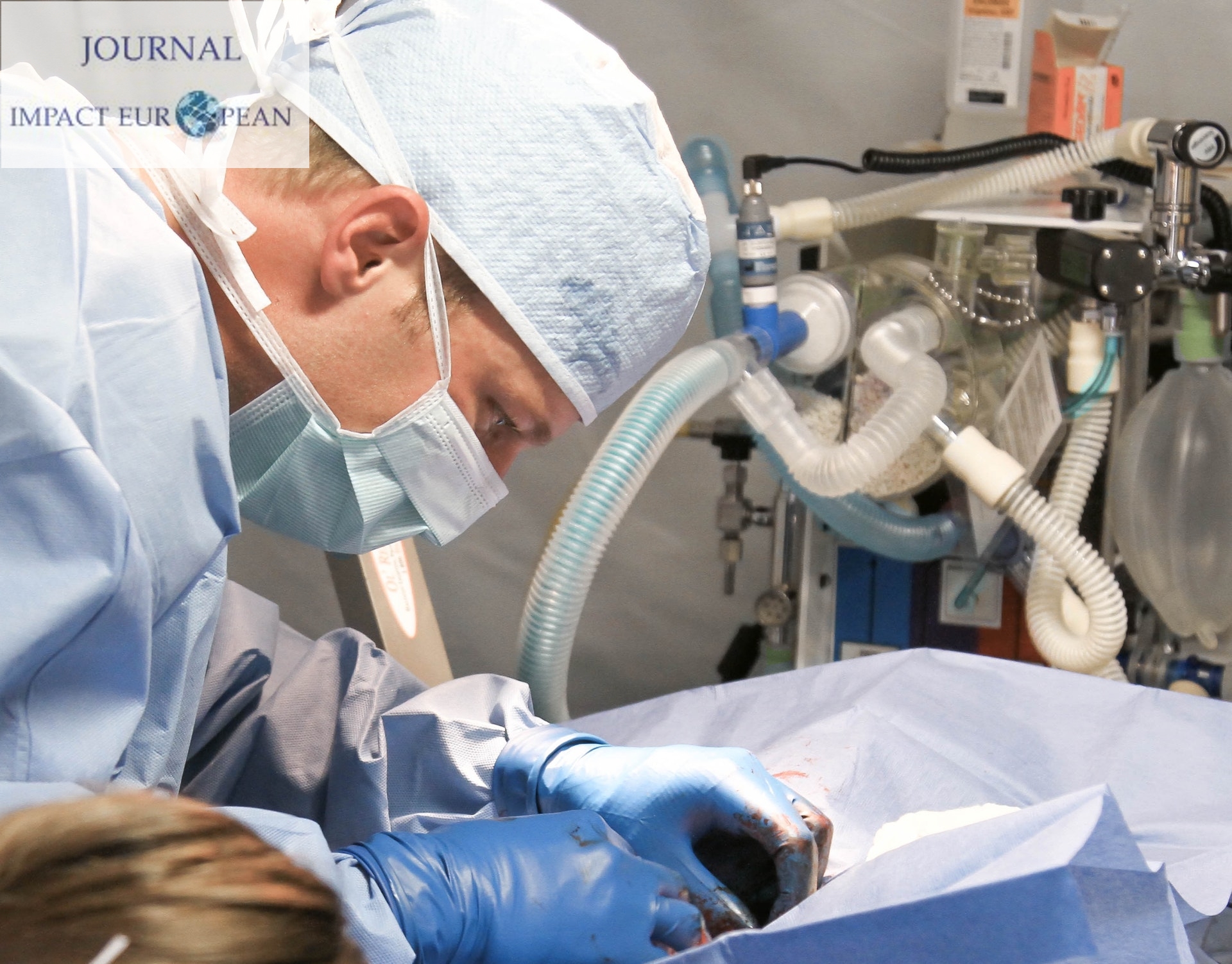 pexels-photo-263210 (1)