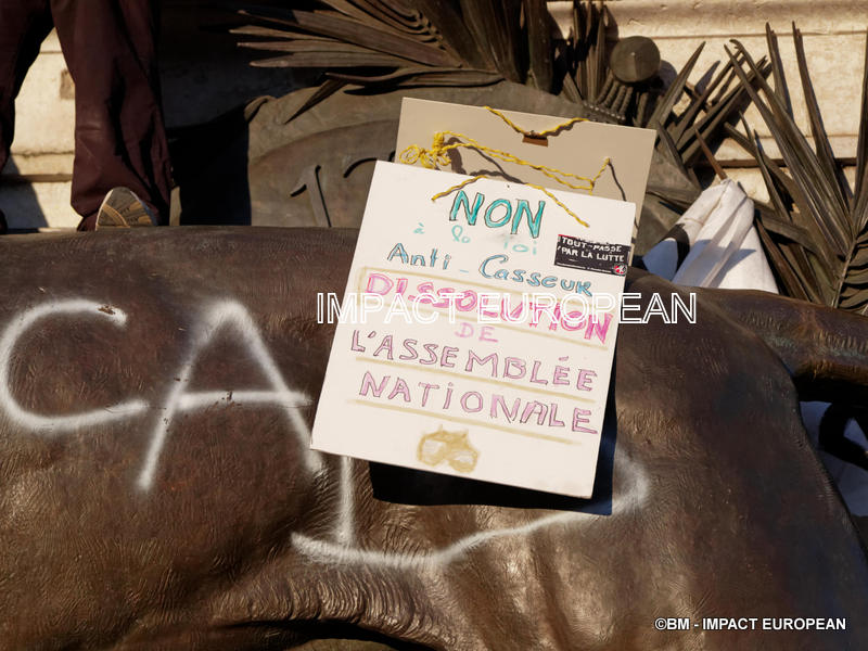 gilets jaunes 17fev2019 04