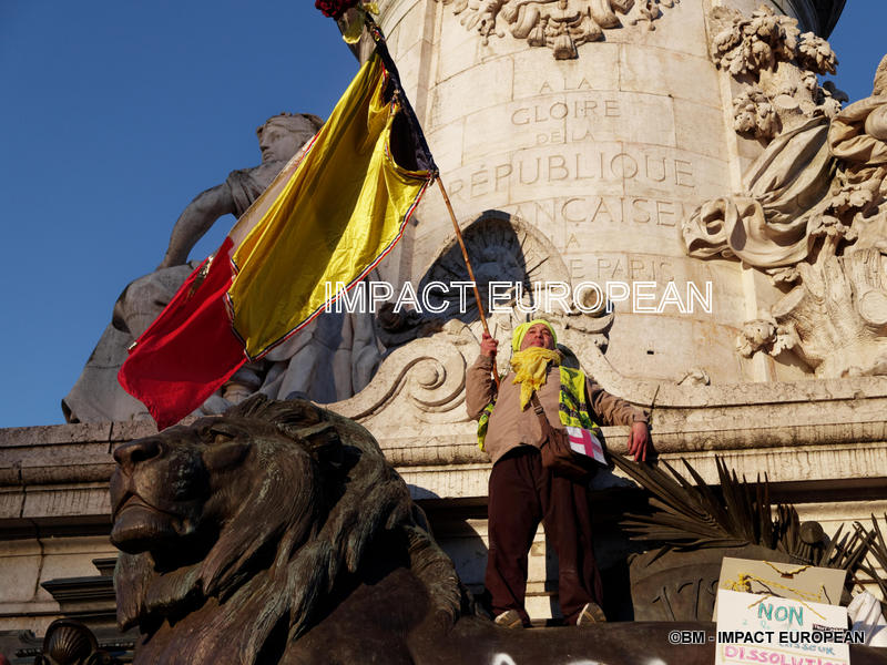 gilets jaunes 17fev2019 05