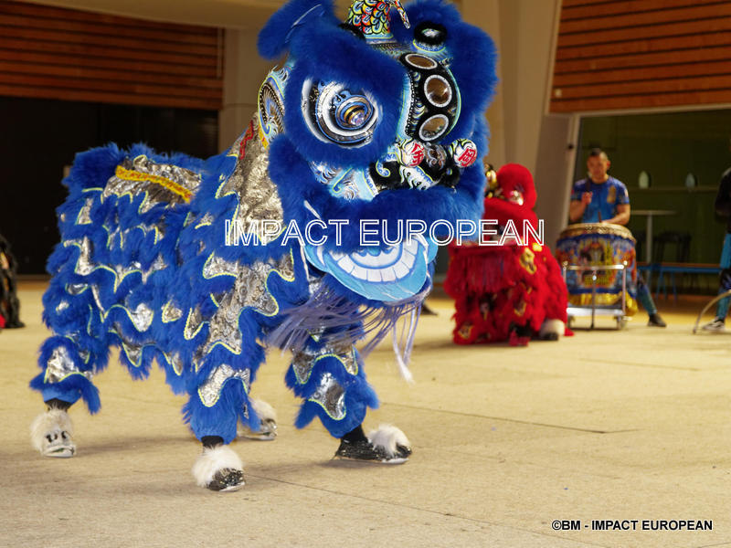 nouvel an chinois 2019 03