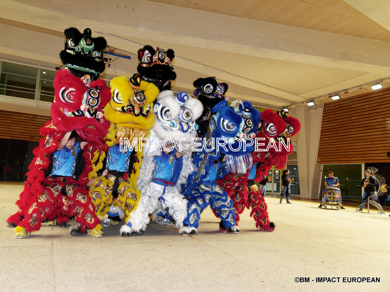 nouvel an chinois 2019 10
