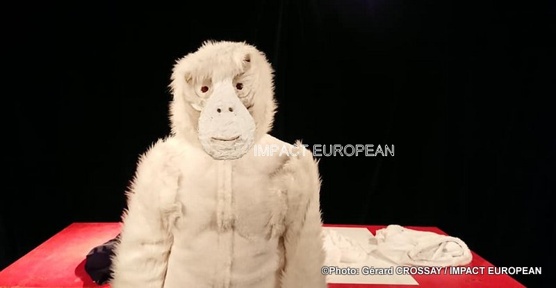 50485501_10216564492998640_855402007547084800_n