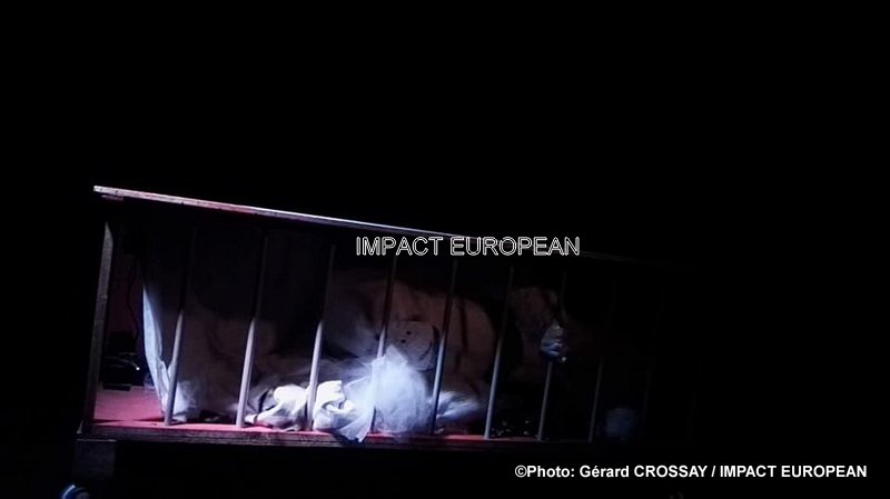 52797087_608401716275751_589216500229865472_n