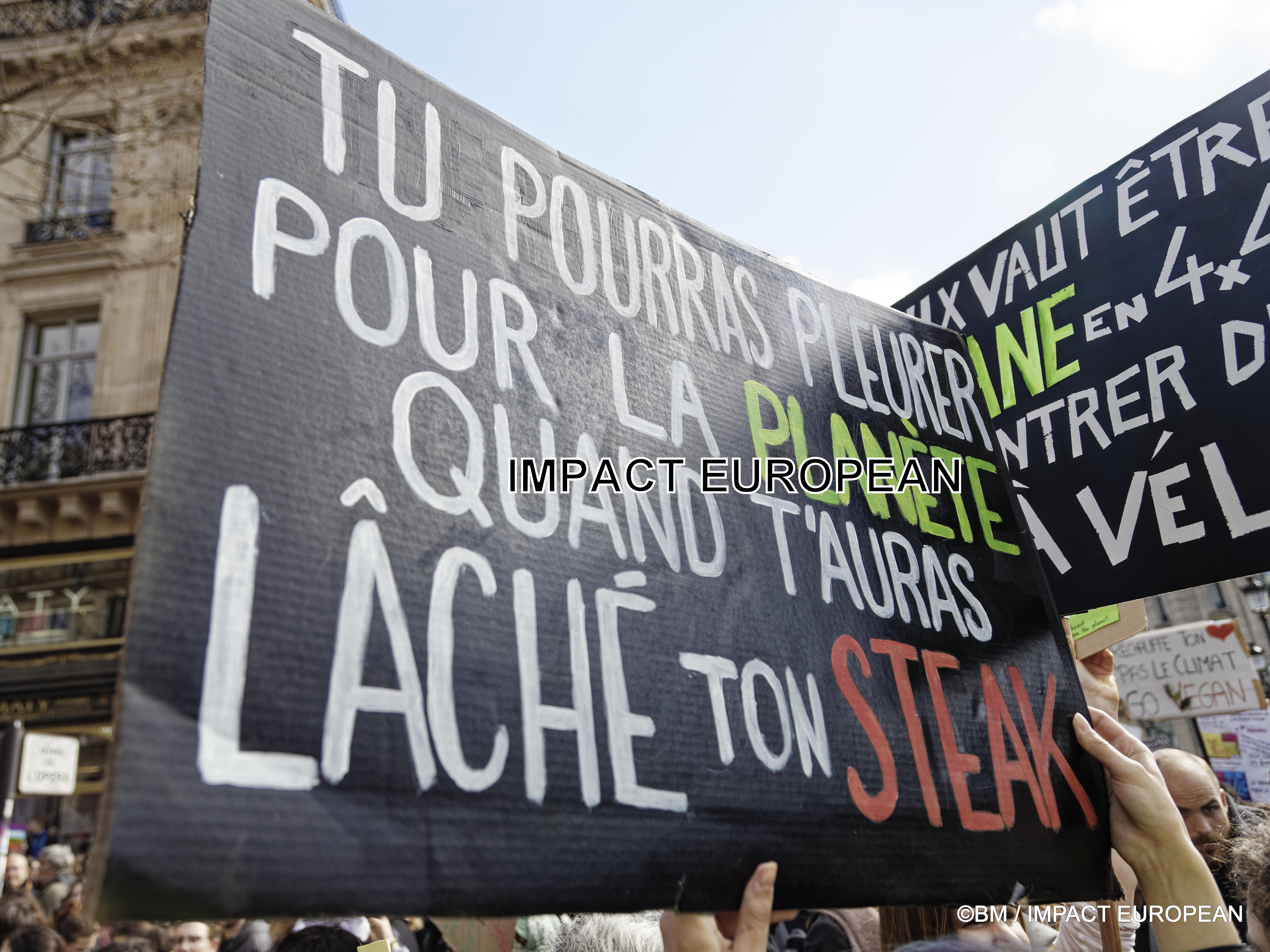 manif climat 16mars2019 23