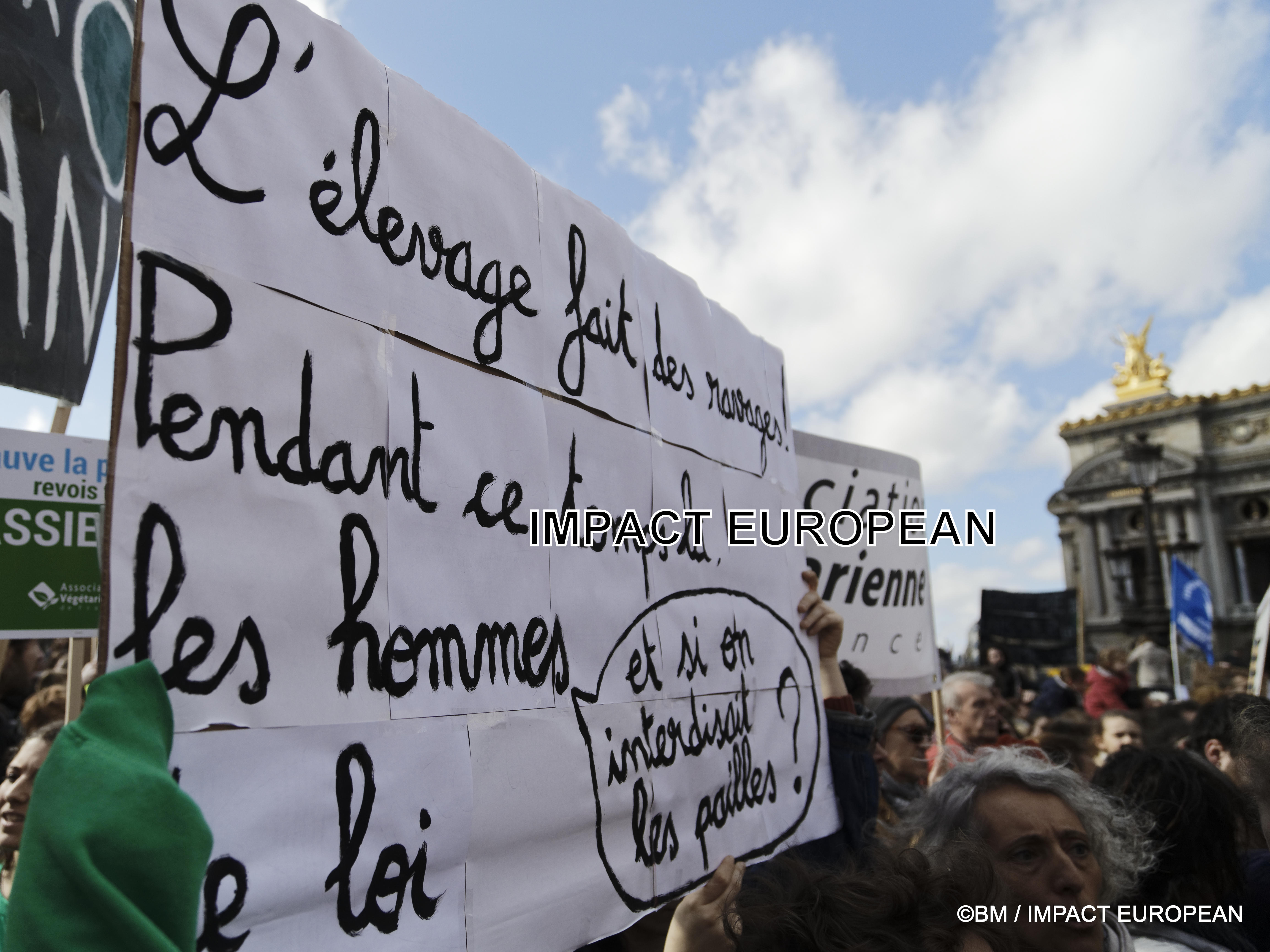 manif climat 16mars2019 31
