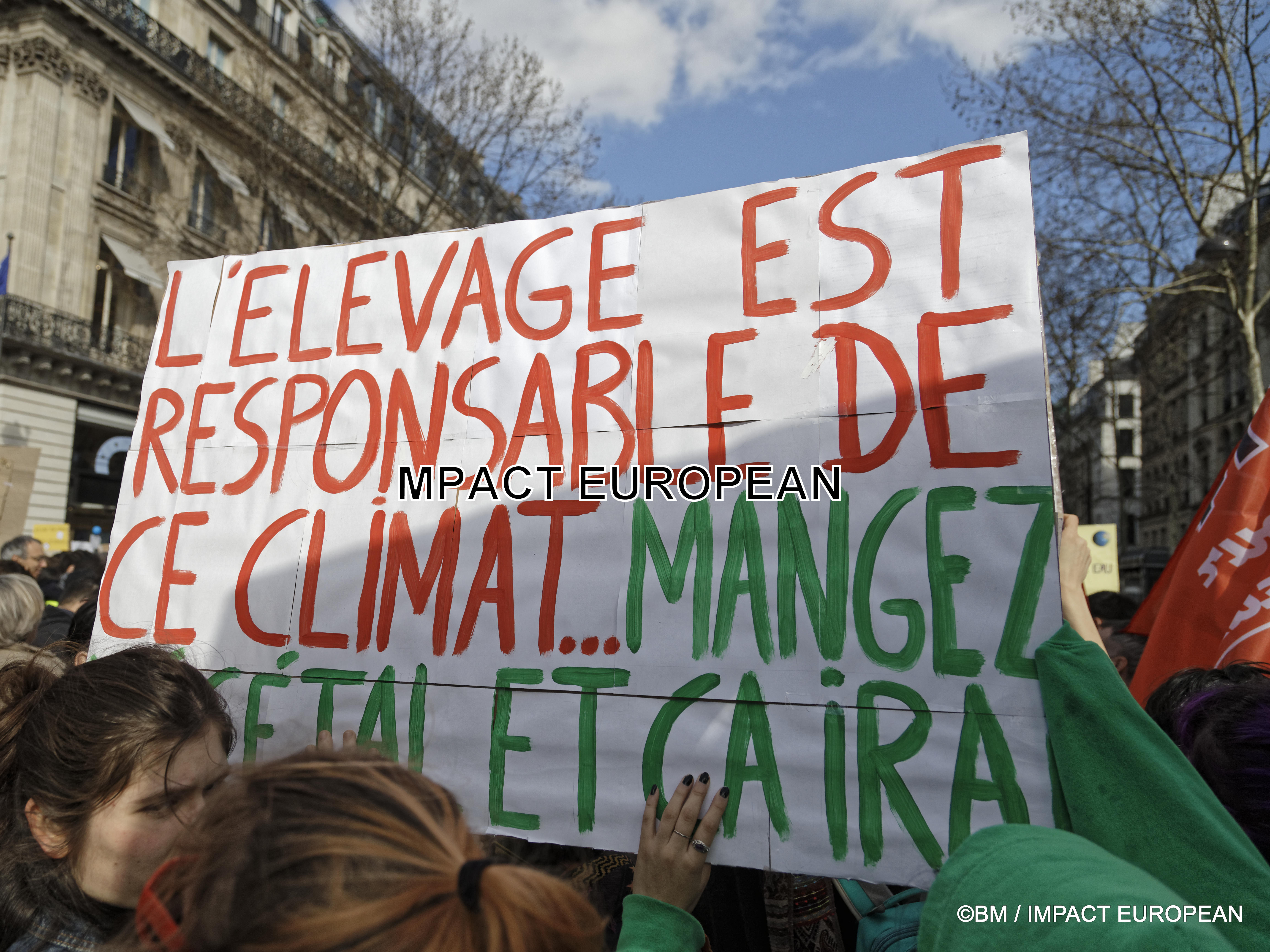 manif climat 16mars2019 32