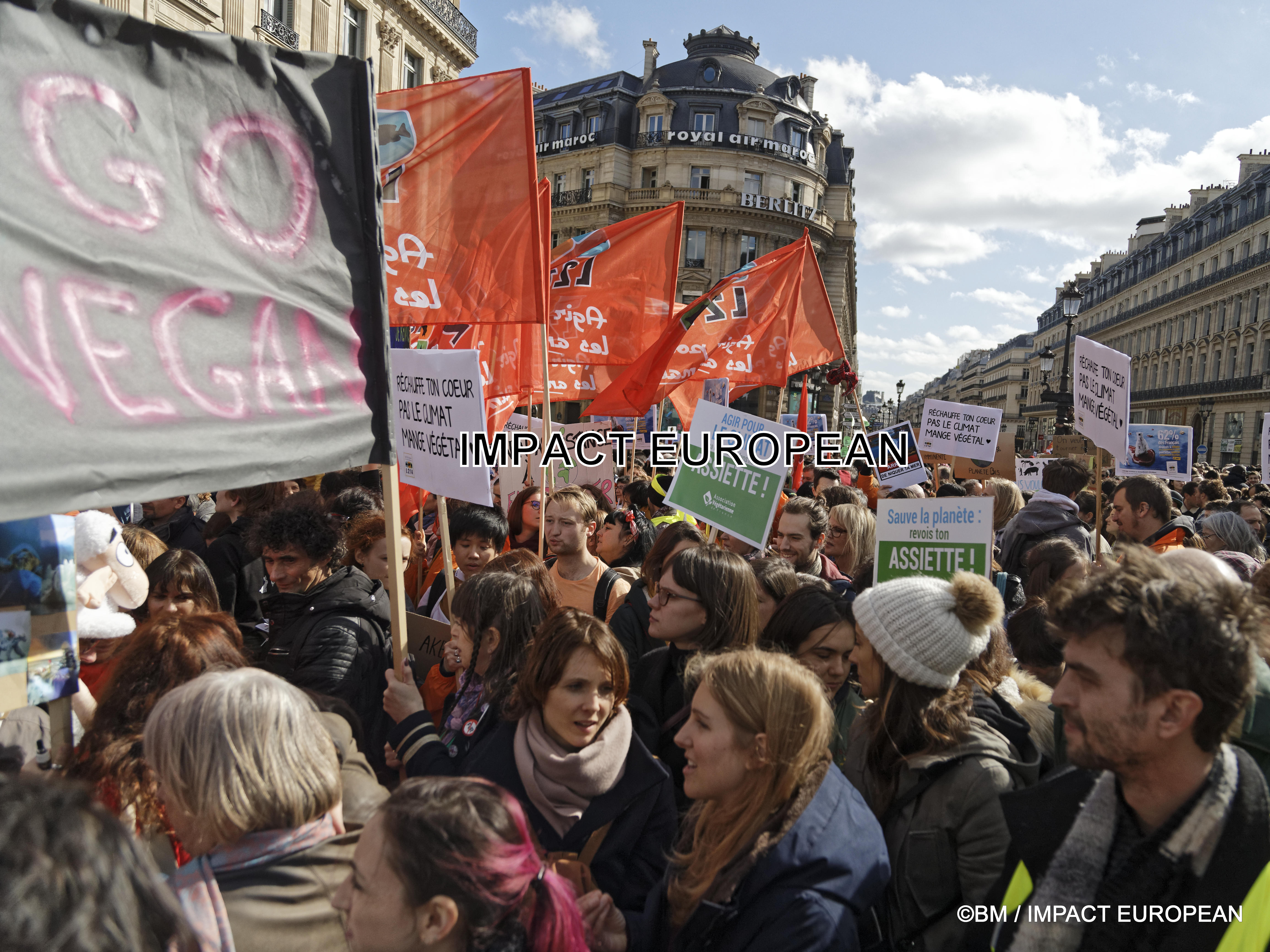 manif climat 16mars2019 33