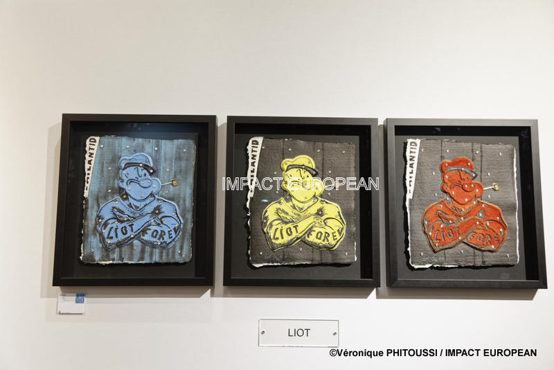 Oeuvres d Eric Liot exposées à Art Fair Art Paris le 3 avril 2019, France