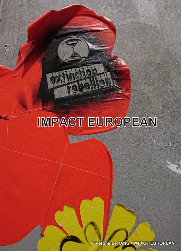 IMG-20190531-WA0012-001