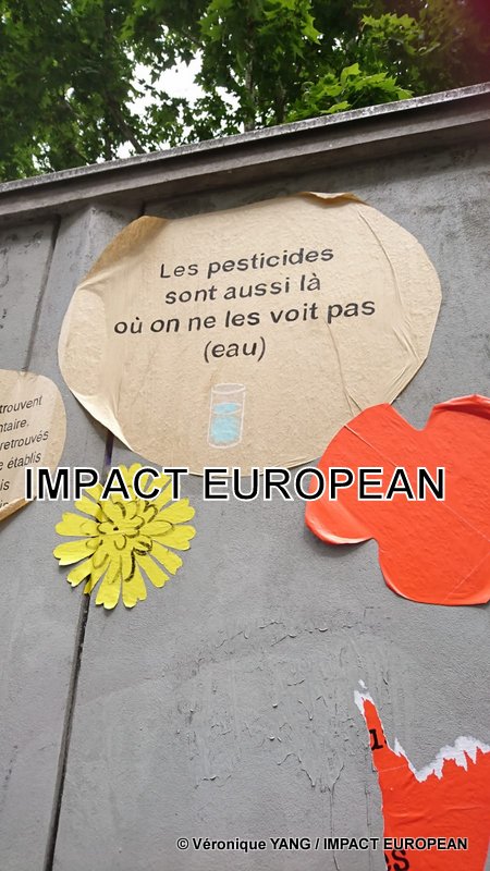 IMG-20190531-WA0014-001