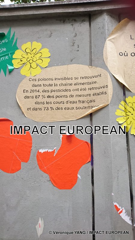 IMG-20190531-WA0015-001