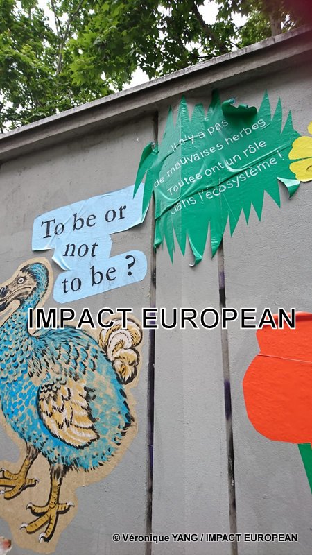 IMG-20190531-WA0016-001