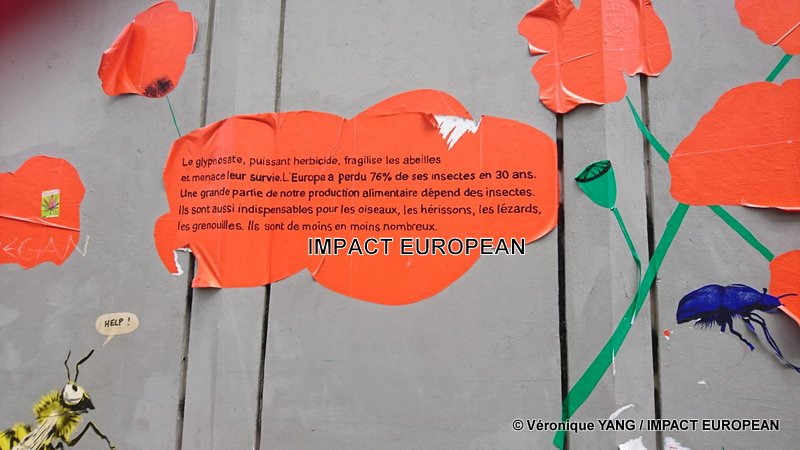 IMG-20190531-WA0017-001