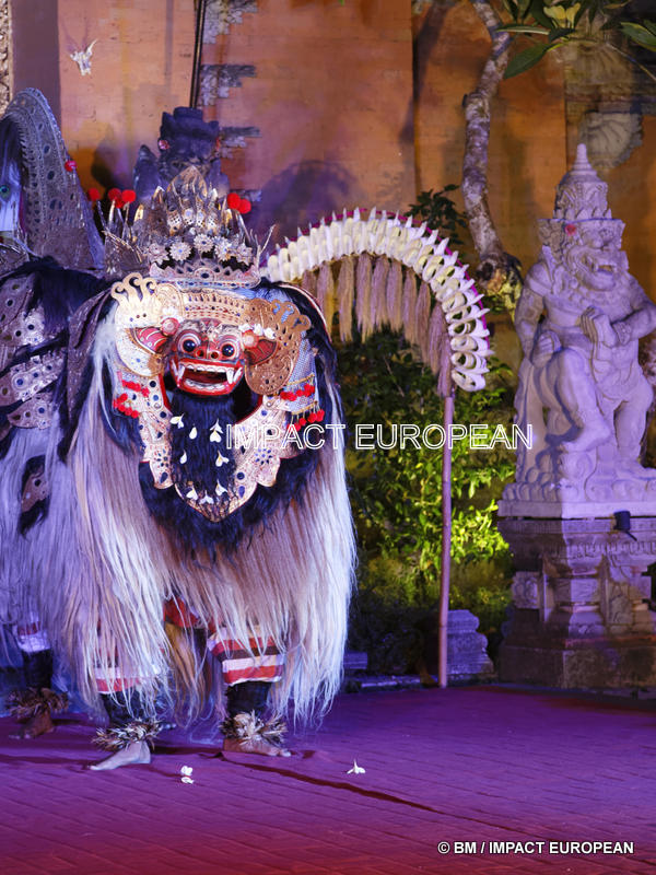 Legong & Barong danse 11-001