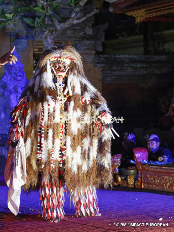 Legong & Barong danse 23-001