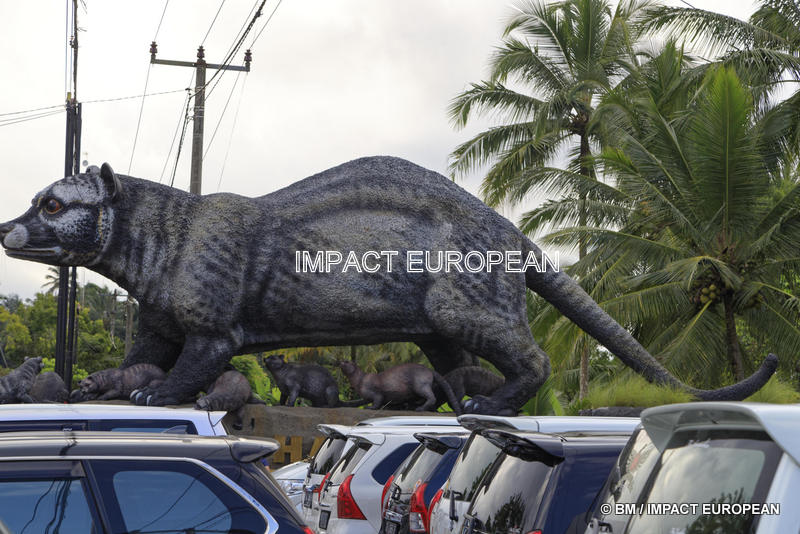 Tegallalang, Bali, Indonesie.