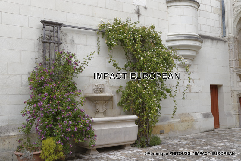 Fontaine de l'Hôtel Gouin pour les 500 ans de Re-naissance(s) à Tours