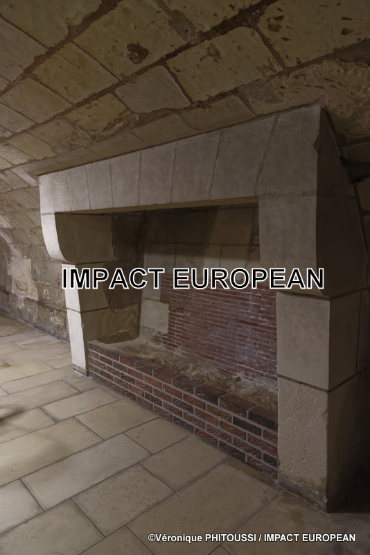 L'Hôtel Gouin pour les 500 ans de Re-naissance(s) à Tours