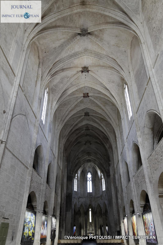 Francis Grosjean a exposé Nature