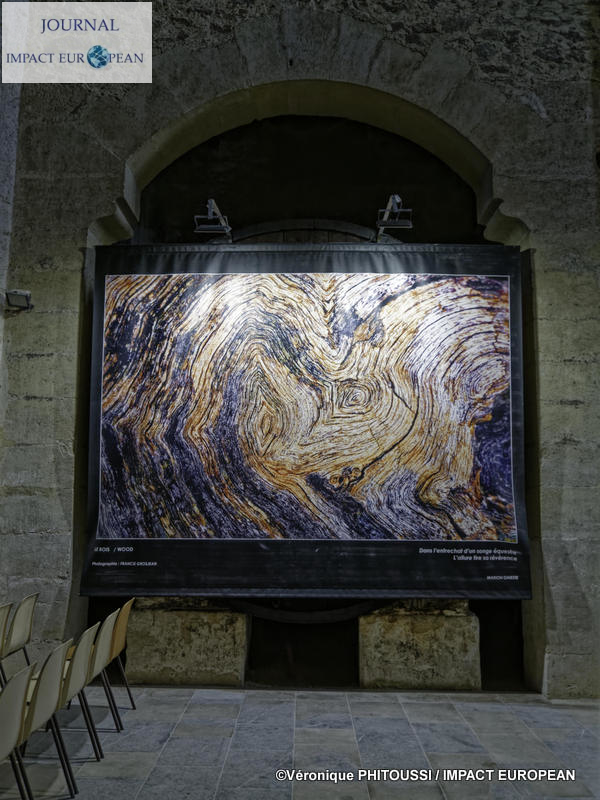 Francis Grosjean a exposé Nature