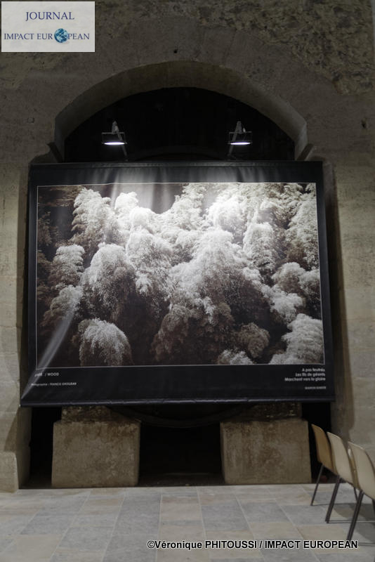 Francis Grosjean a exposé Nature