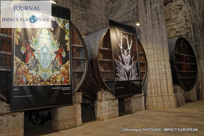 Francis Grosjean a exposé Nature