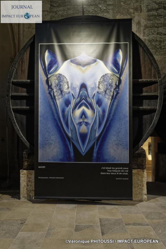 Francis Grosjean a exposé Nature