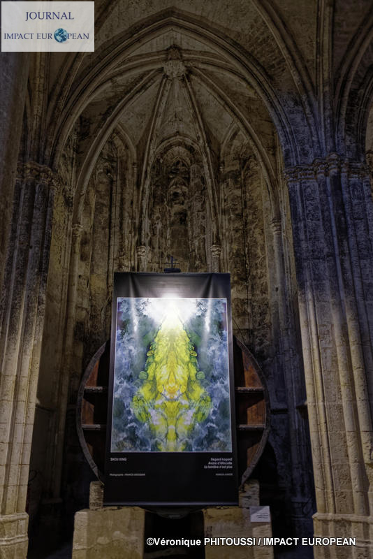 Francis Grosjean a exposé Nature