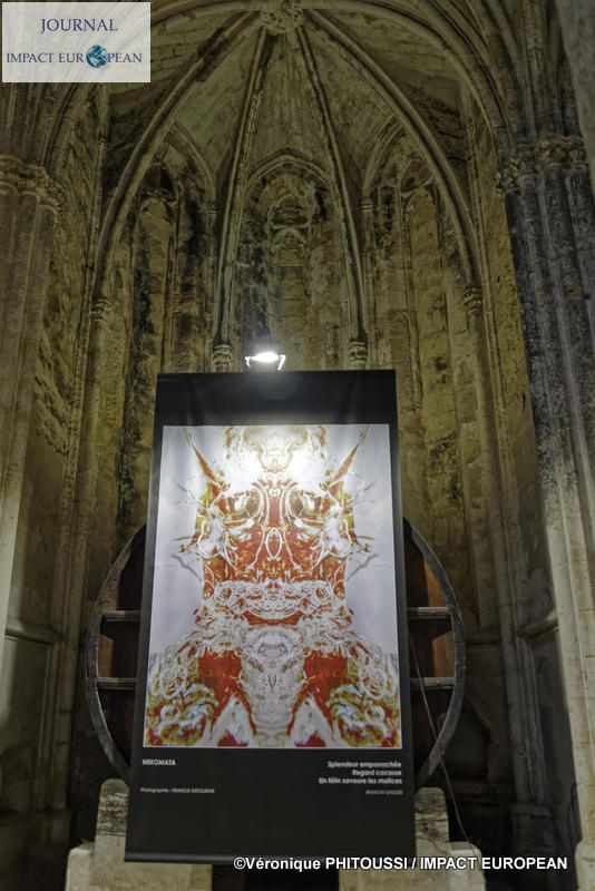 Francis Grosjean a exposé Nature