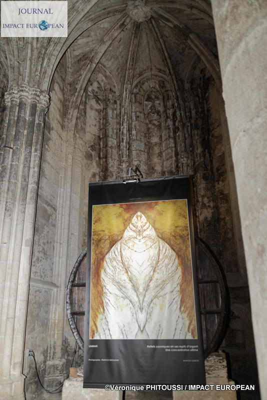 Francis Grosjean a exposé Nature