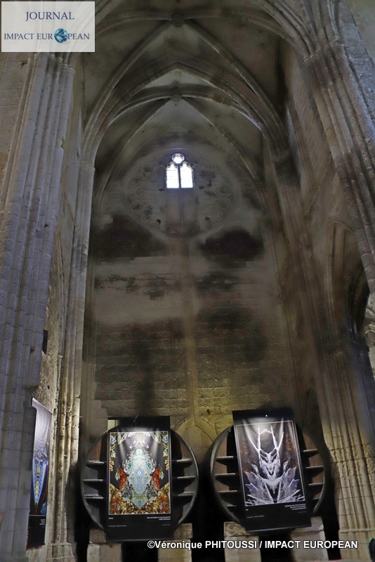 Francis Grosjean a exposé Nature