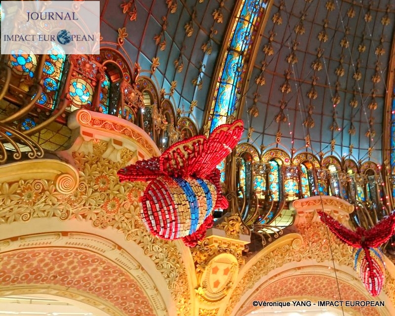 01-IMG-20191123-WA0000