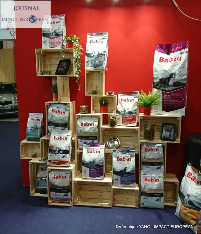 02-IMG-20191120-WA0006