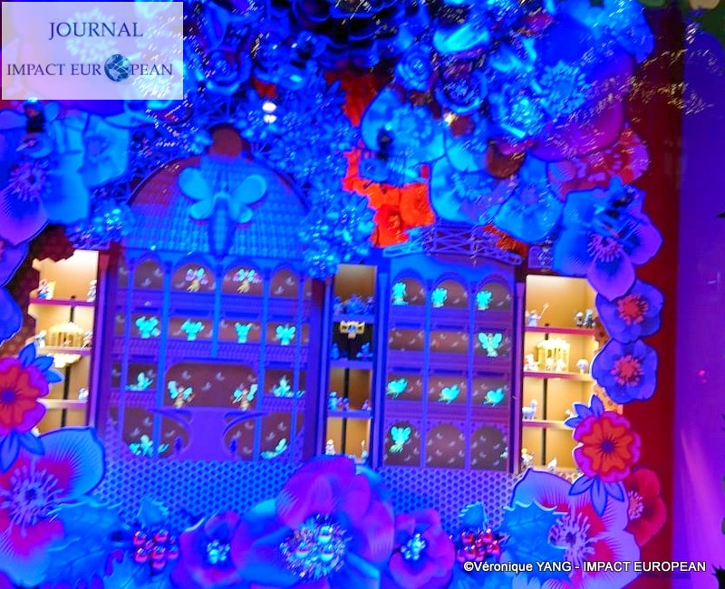 04-IMG-20191123-WA0019