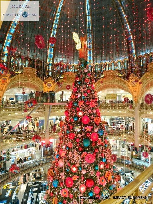 10-IMG-20191123-WA0002