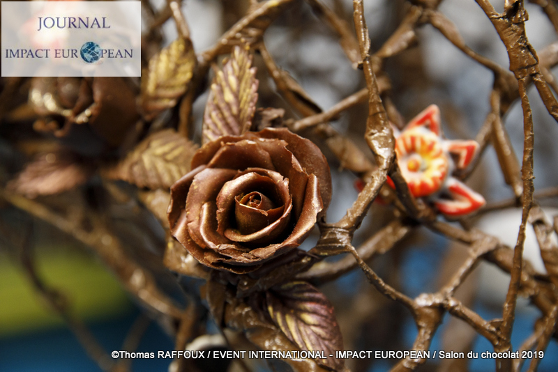 11-ThomasRaffoux_BB_0035