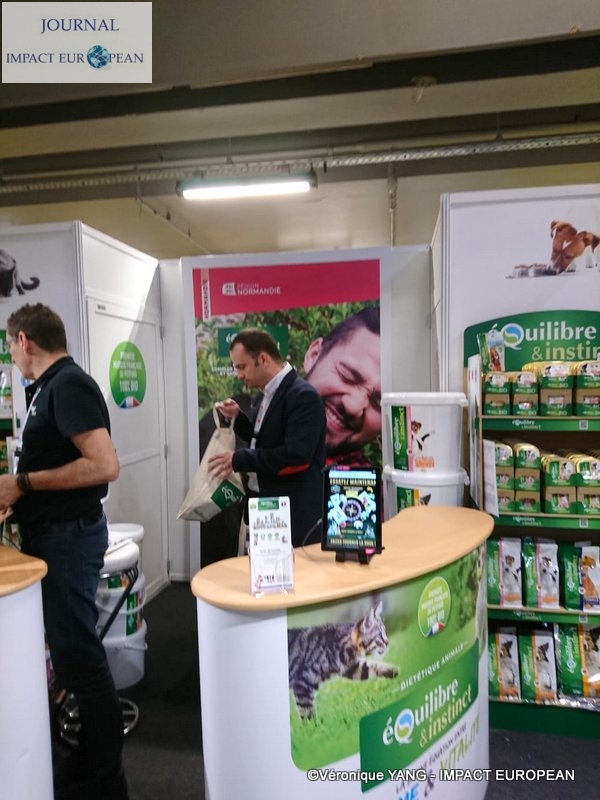 12-IMG-20191120-WA0016