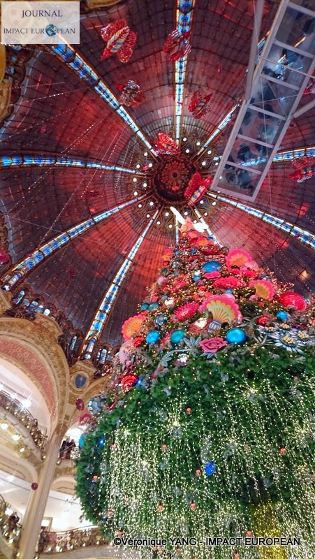 13-IMG-20191123-WA0005