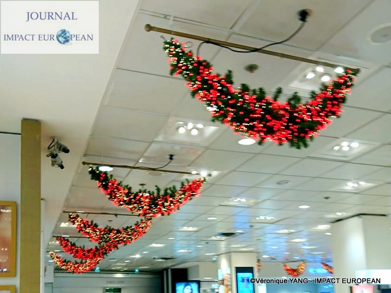 15-IMG-20191123-WA0007