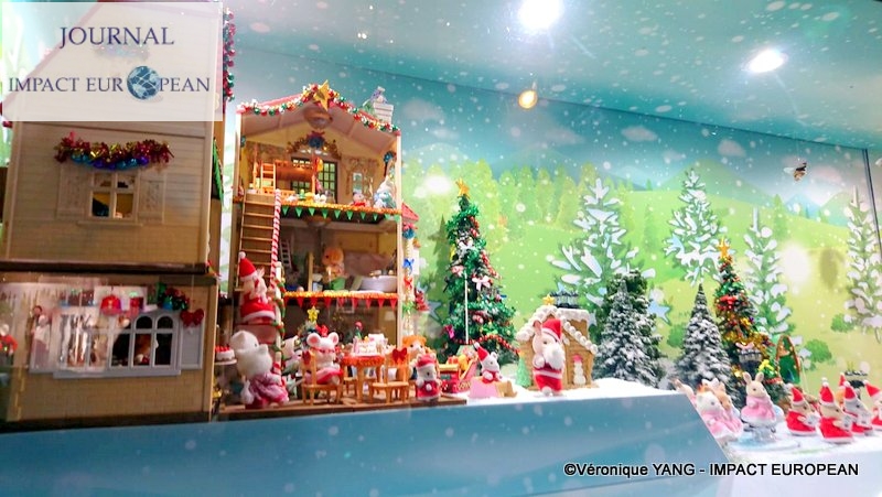 17-IMG-20191123-WA0009