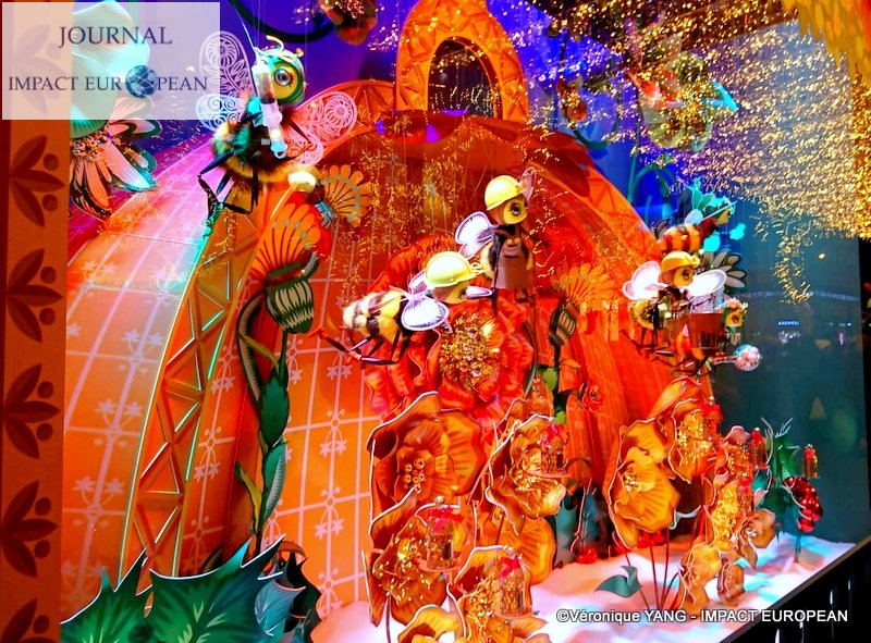 24-IMG-20191123-WA0016