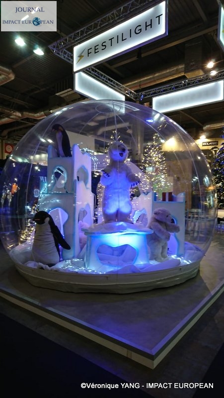 3-IMG-20191125-WA0029