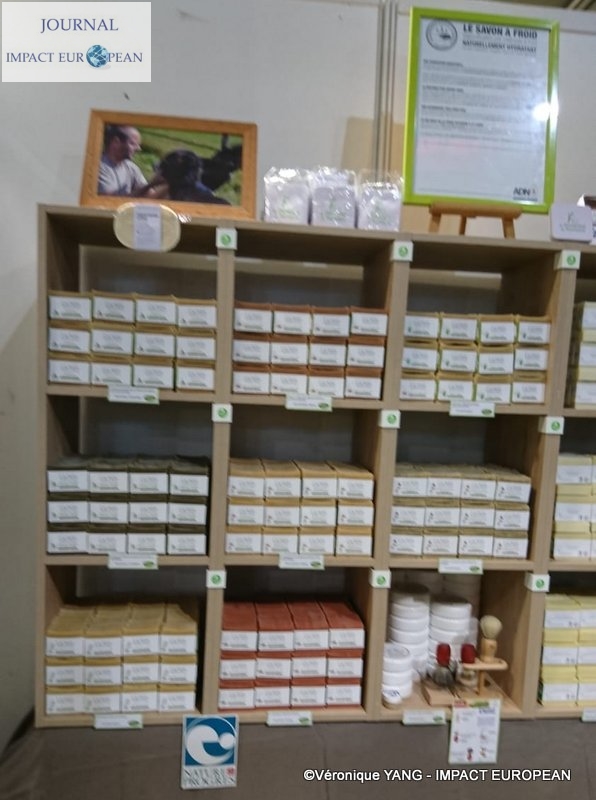 5-IMG-20191120-WA0004