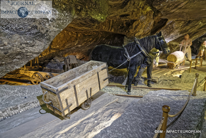 07-mines de sel de Wieliczka 08
