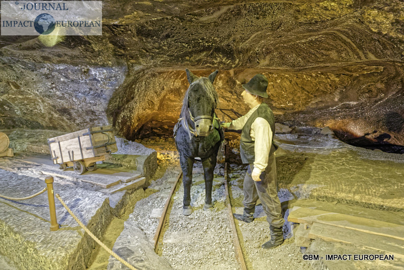 08-mines de sel de Wieliczka 09
