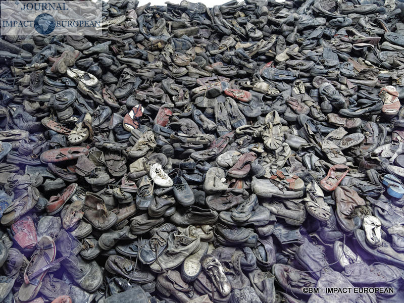 Camp d'extermination d'Auschwitz I(Pologne)