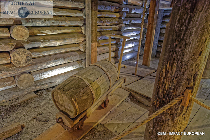 1-mines de sel de Wieliczka 01
