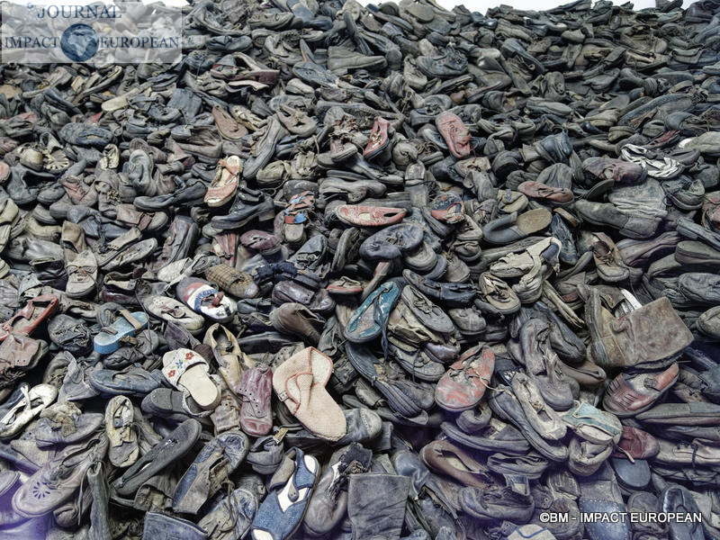 Camp d'extermination d'Auschwitz I(Pologne)